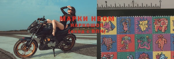 PSILOCYBIN Елабуга