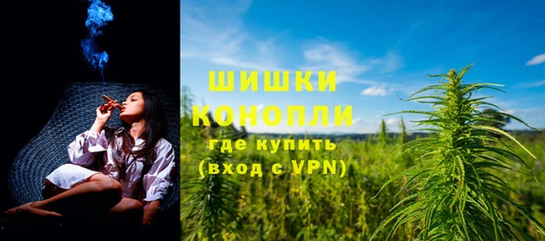 PSILOCYBIN Елабуга