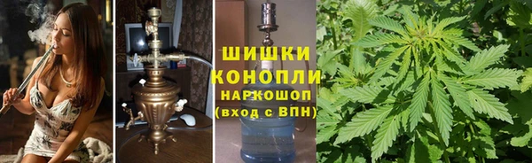 PSILOCYBIN Елабуга