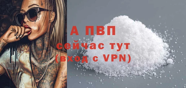 PSILOCYBIN Елабуга