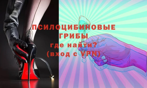 PSILOCYBIN Елабуга