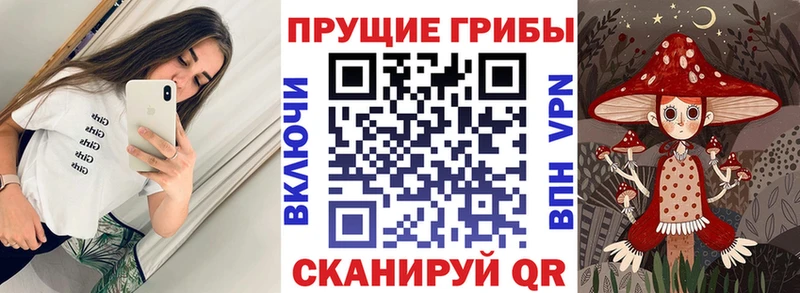 Купить где Гатчина Галлюциногенные грибы ЛСД